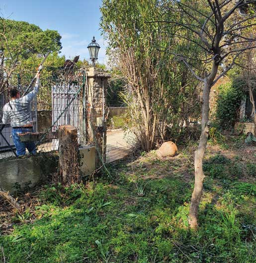 Taille de haies et aménagement paysager